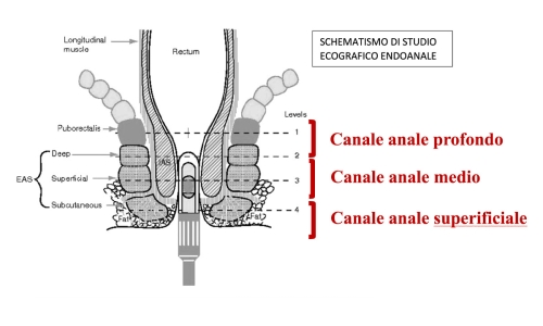 ecografia-endoanale-sassari-2